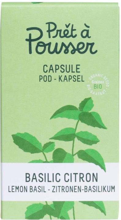 Prêt à Pousser Basilico al limone (Semi di erbe)