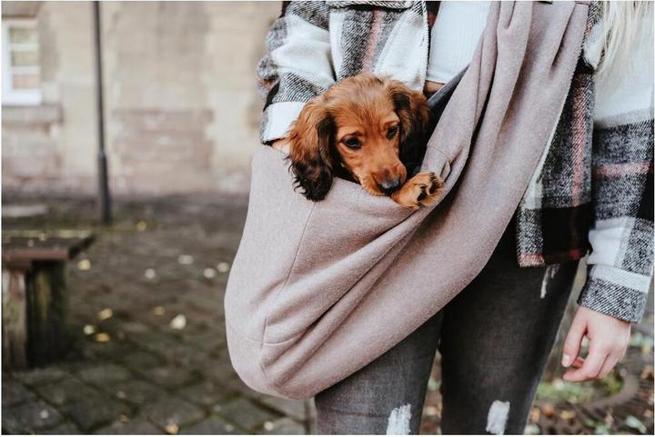 Productafbeelding Hunter Los Angeles (Hond, Wasbaar)