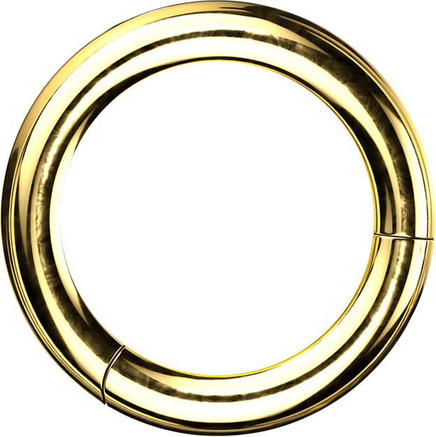 Produktbild Star Piercing Segmentring klappbar vergoldet (ohne Messing, Titan G23)