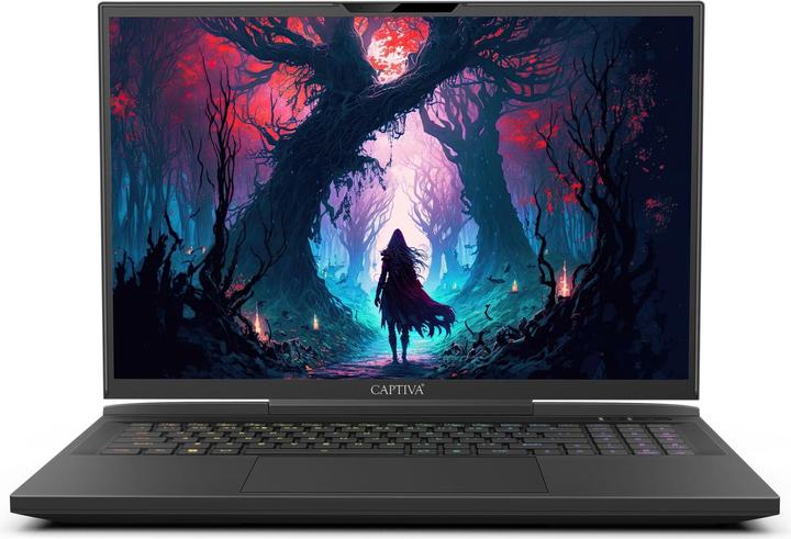 Captiva I87-252CH RTX 4070 (17.30", Intel Core i9-14900HX, 32 GB, 2000 GB, CH)