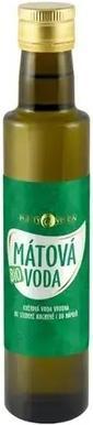 Purity Vision - Bio Mint water - Volume: 250 ml (250 ml)