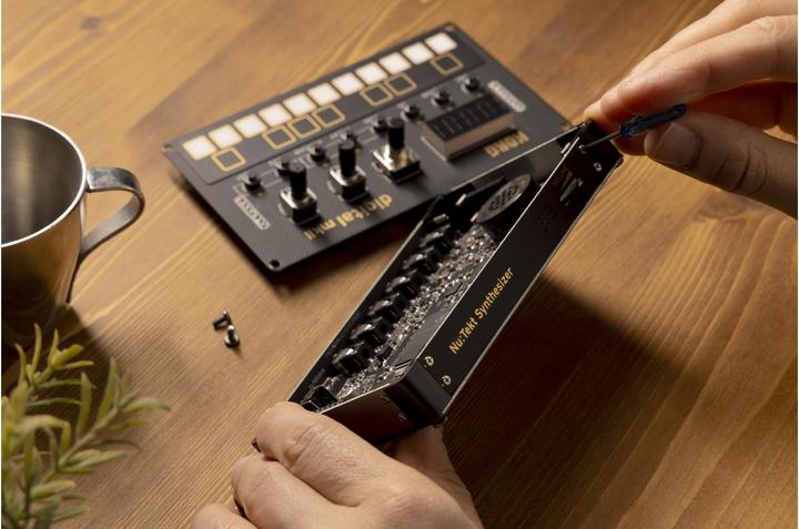 Actual product image Korg Synthesiser NTS-1 mkII, input option: buttons