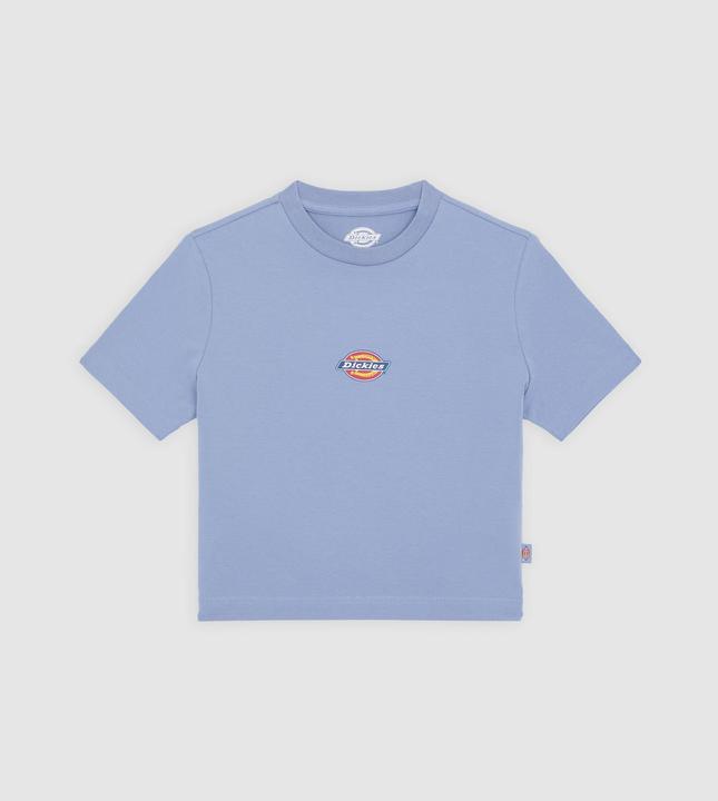 Dickies Maple Valley Tee Country Blue (M)