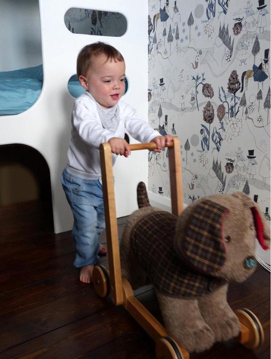 Image du produit little bird told me Percy Pup Push Along