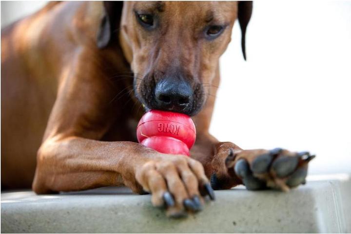 Produktbild KONG Classic (Apportieren, Futterspielzeug Hund, Kauspielzeug Hund)