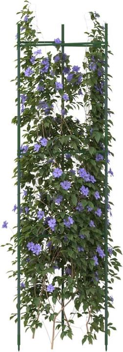 Produktbild VidaXL Tomatenkäfig 2 Stk. 116 cm und PP