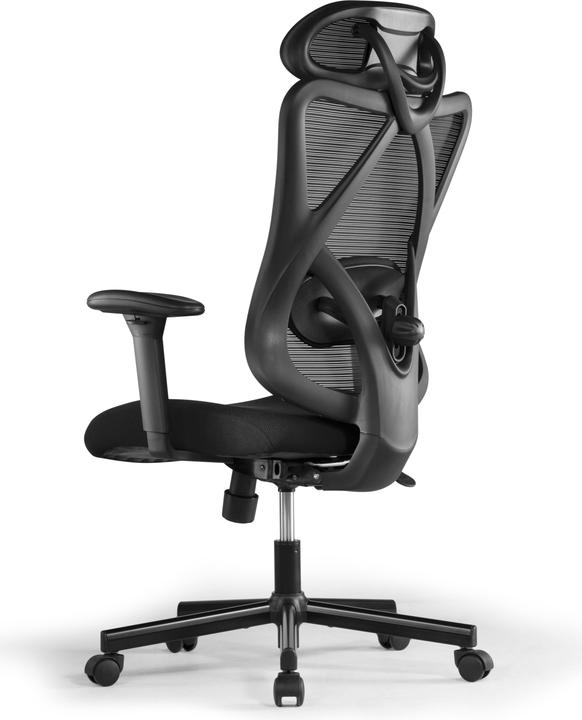 Ergowork Lumbacker Office Chair, black