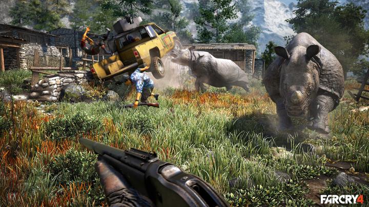 Actual product image Ubisoft Far Cry 4 + Far Cry 5 Double Pack (PS4, DE)