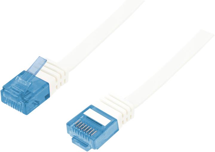 Actual product image LogiLink Network cable (U/UTP, CAT5e, 0.25 m)