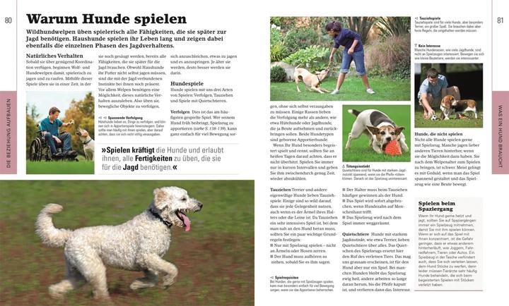Produktbild Hundeerziehung ganz einfach (Deutsch, Gwen Bailey, Brigitte Rüssmann & Wolfgang Beuchelt, Andreas Held, 2023)