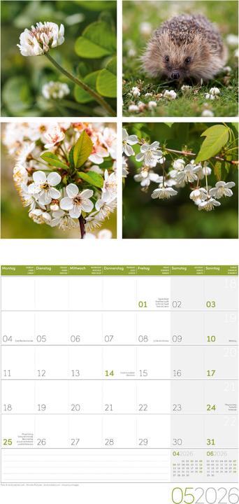 Produktbild Colours of Nature Kalender 2026 - 30x30 (30 x 30 cm, Harter Einband, Deutsch, Französisch, Englisch)