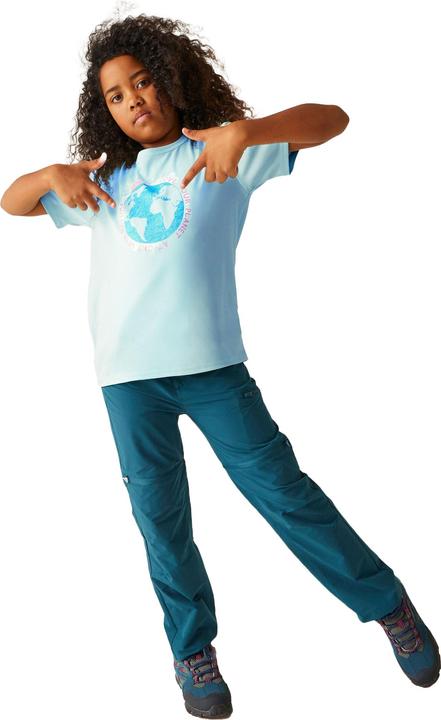 Actual product image Regatta Childrens/Kids Alvardo VIII Graphic Print T-Shirt (170, 176)