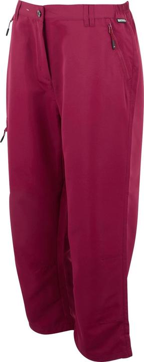 Produktbild Regatta Chaska III Caprihose