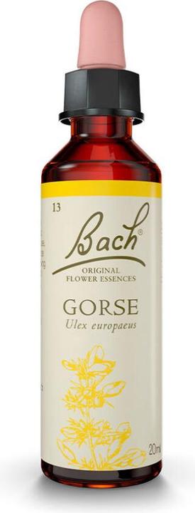 Produktbild Bach Rescue Flower BACH AULAGA Flow 20ml (Körperlotion, 20 ml)
