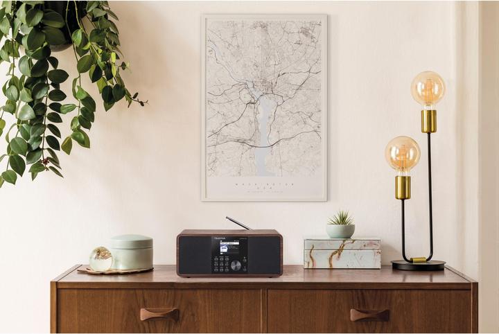 Image du produit Telestar Dira S24i (DAB+ DAB, Webradio, FM, VHF, Bluetooth, WiFi)