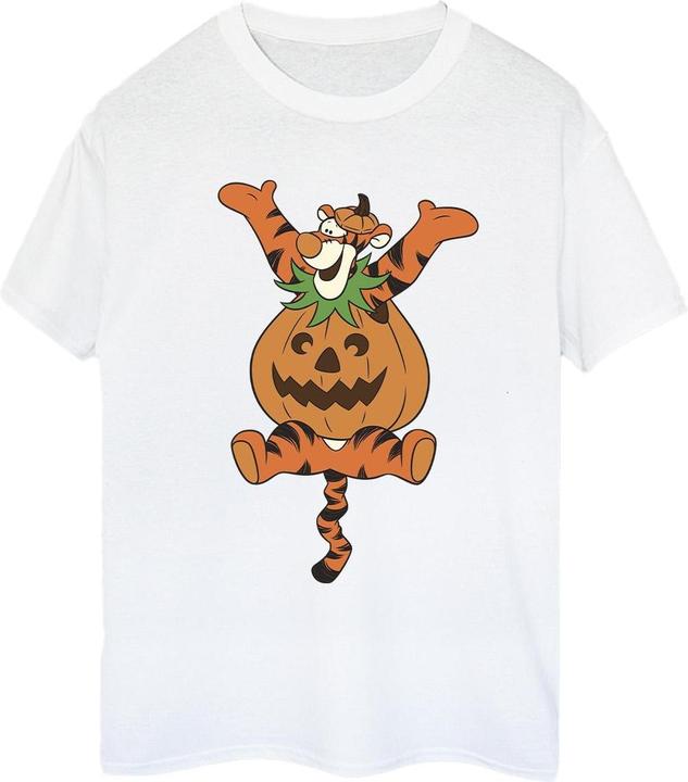 Winnie the Pooh TShirt (XL)