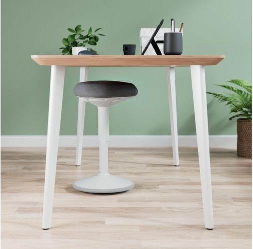 Immagine prodotto Leitz Ergo Active