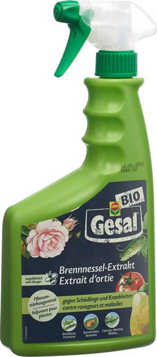 Produktbild Gesal Brennnessel-Extrakt (Pilze)