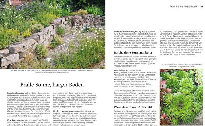Produktbild Welche Pflanze passt wohin im Naturgarten? (Deutsch, Paula Polak, 2020)