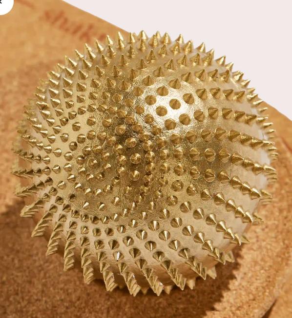 Actual product image Shakti Spiky Ball