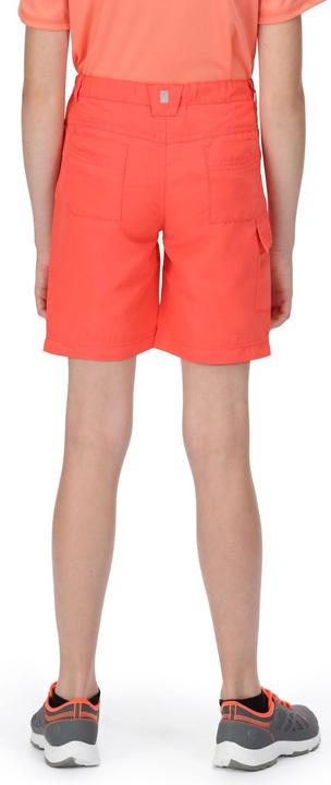 Actual product image Regatta Sorcer II Shorts (164)