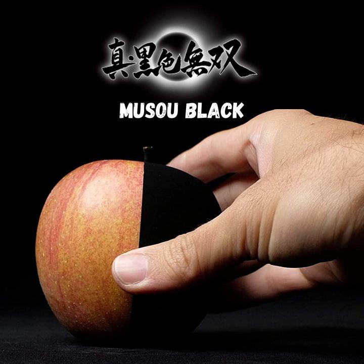 Actual product image Musou Black Acrylic paint (Black, 100 ml)