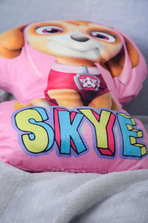Actual product image Herding Paw Patrol Moulded Cushion (Skye) (5 x 25 x 34 cm)