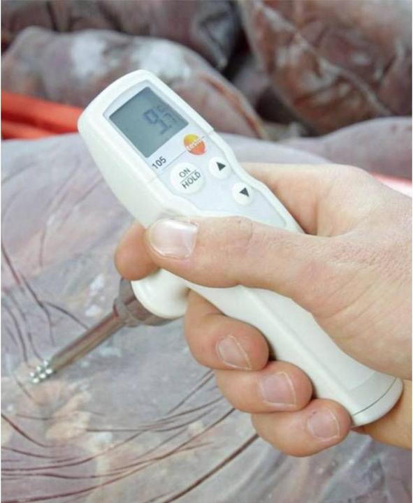 Actual product image Testo Insertion thermometer (HACCP) 10