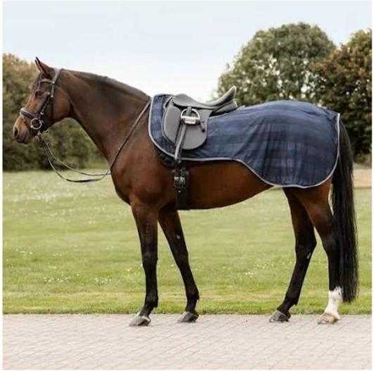 Waldhausen Fliegenausreitdecke Economic Pferde Blau Pony