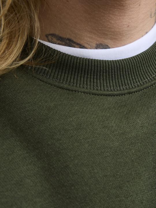 Actual product image Jack & Jones Jjebradley Sweat Crew Noos Pls (8XL)