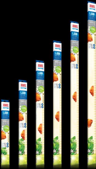 Image du produit Juwel Aquarium LED Nature (LED, 29 W)