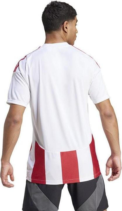 Actual product image adidas Striped 24 Jersey (S)
