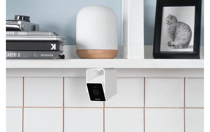Actual product image Petcube Pet Camera (Catmint toy)