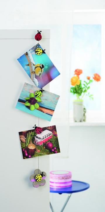 Actual product image Glorex Magnets (6 x)