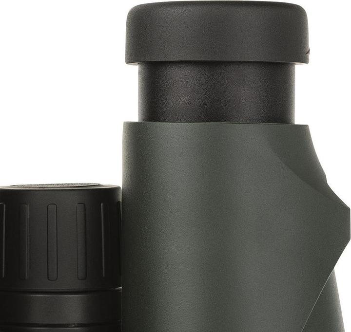 Produktbild Dörr Wildview (12 x, 56 mm)