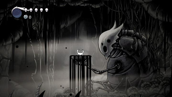 Actual product image Team cherry Hollow Knight (Switch, Switch Lite, Switch OLED, FR)