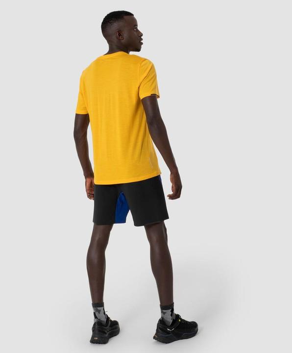 Actual product image Salewa Pedroc Durastretch Wool Shorts (44)