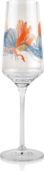 Actual product image Ritzenhoff False (23 cl, 1 Glasses, Champagne glasses)