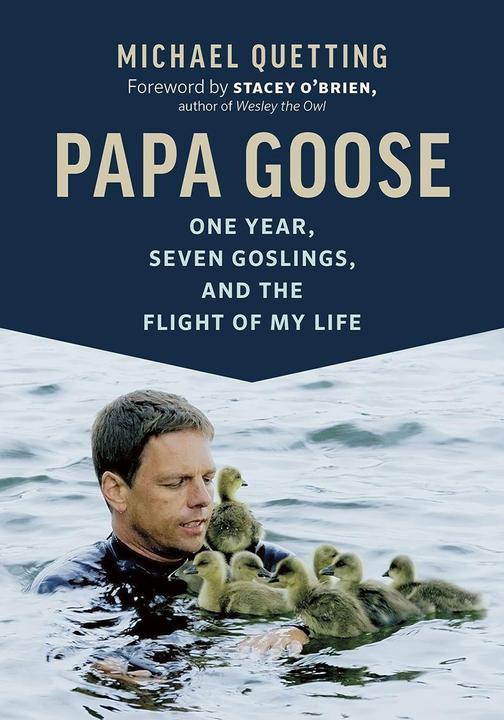Produktbild Quetting:Papa Goose (Englisch, Michael Quetting, 2018)