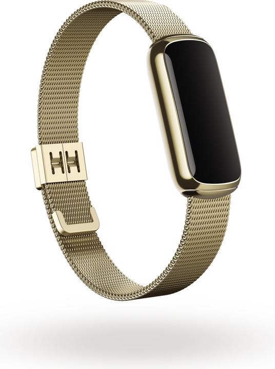 Actual product image Fitbit Luxe stainless steel bracelet (Stainless steel)