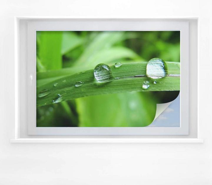 Produktbild Trenddeko Natur 4 (100 x 70 cm)