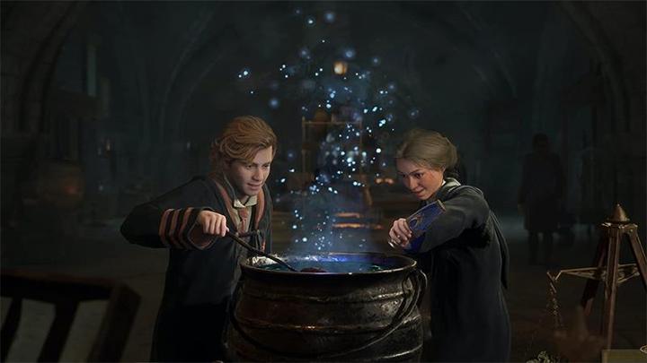 Image du produit WB Hogwarts Legacy (Switch 2, DE)