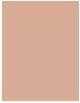 Actual product image Sisley Phyto Complexion Nude No 2W1 (2W1 Light Beige)