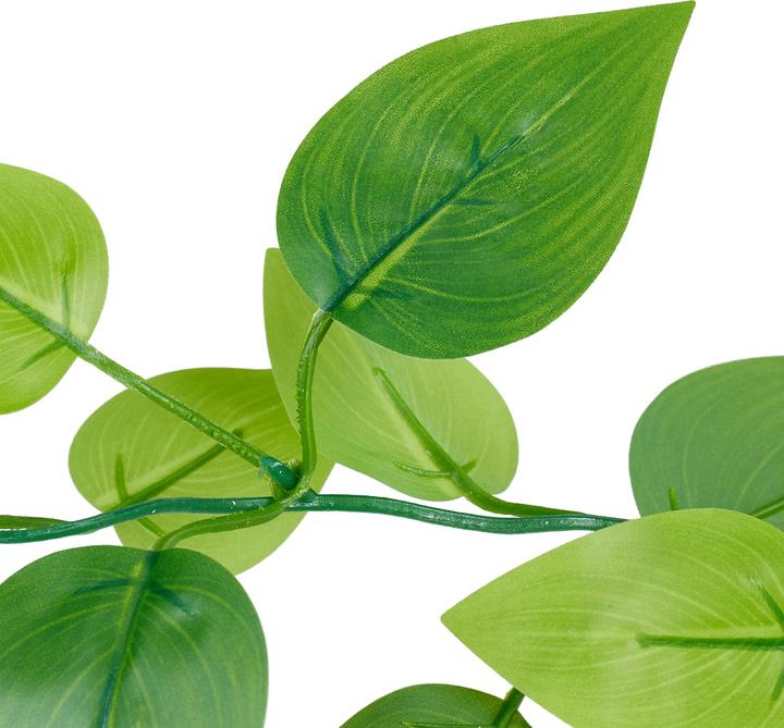 Actual product image Relaxdays Efeutute (100 cm)