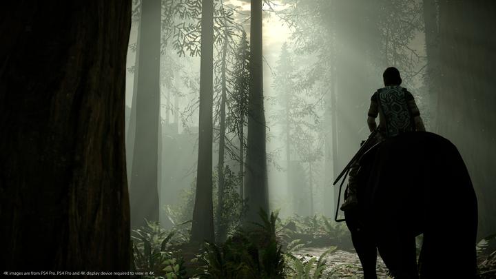 Actual product image Sony Interactive Entertainment Shadow of the Colossus PlayStation 4 (PS4, DE)