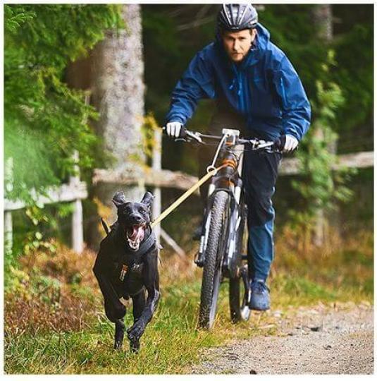 Actual product image Non-Stop Dogwear Bungee (M, Dog, Jogging)