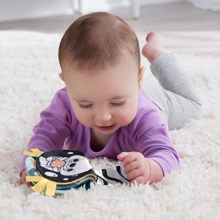 Actual product image Fisher-Price 2-in-1 tummy time otter (11 cm)
