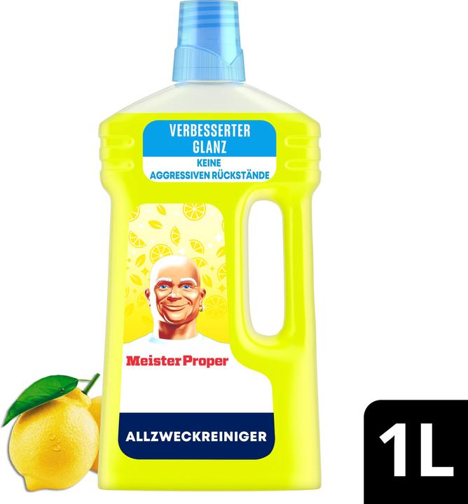 Meister Proper Allzweckreiniger Mit Frühlingserwachen-Duft