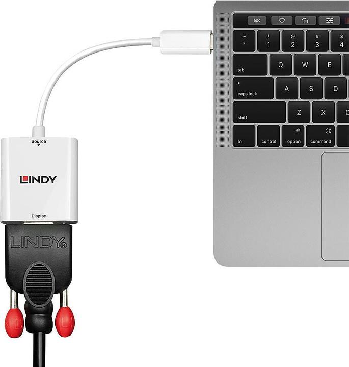 Actual product image Lindy USB Type C to VGA Converter (USB-C, 11 cm)