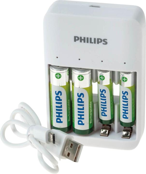 Philips SCB4013NB (1 pcs., AAA, AA, 1300 mAh, Battery + charger)